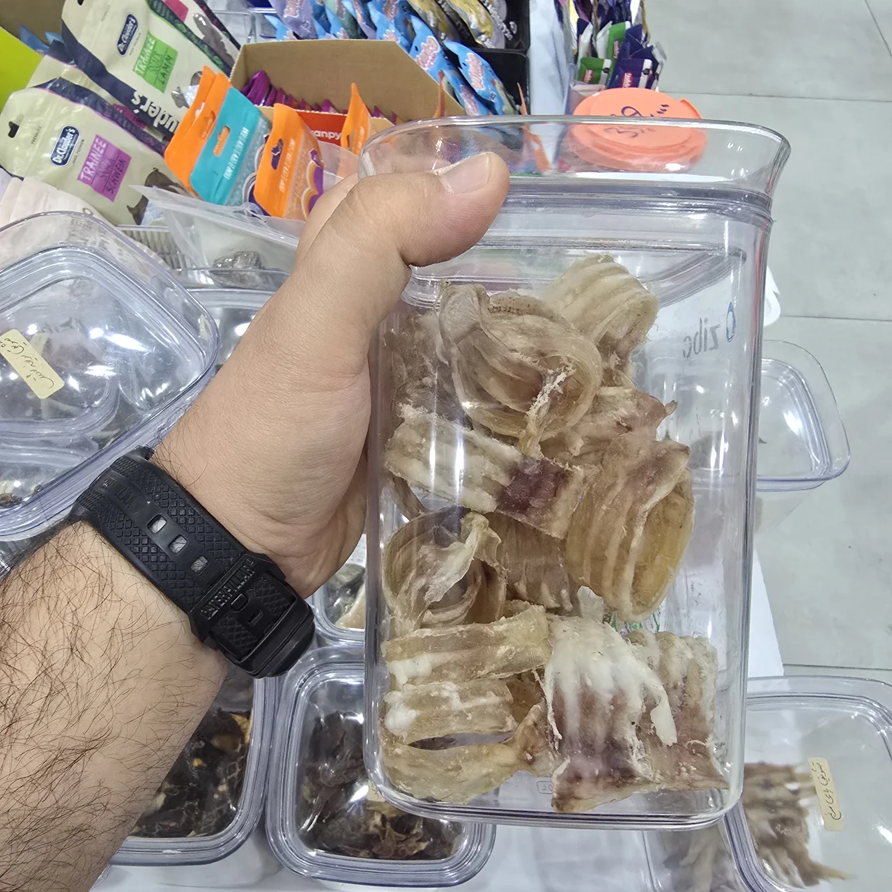 نای حلقه ای