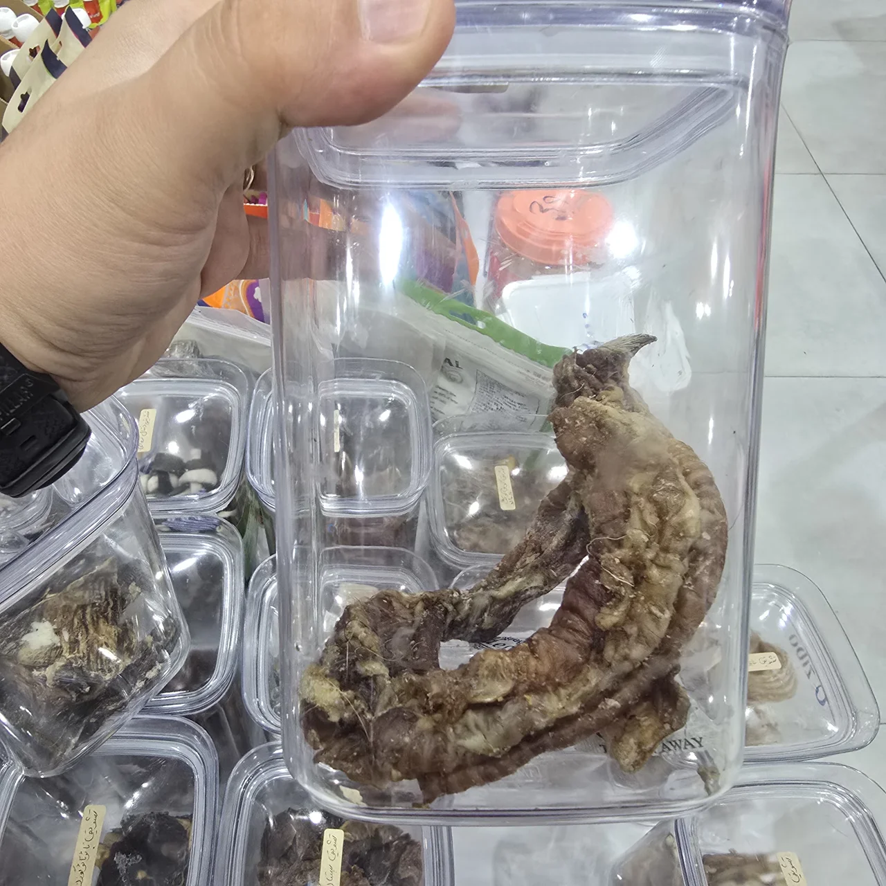 نای لوله ای