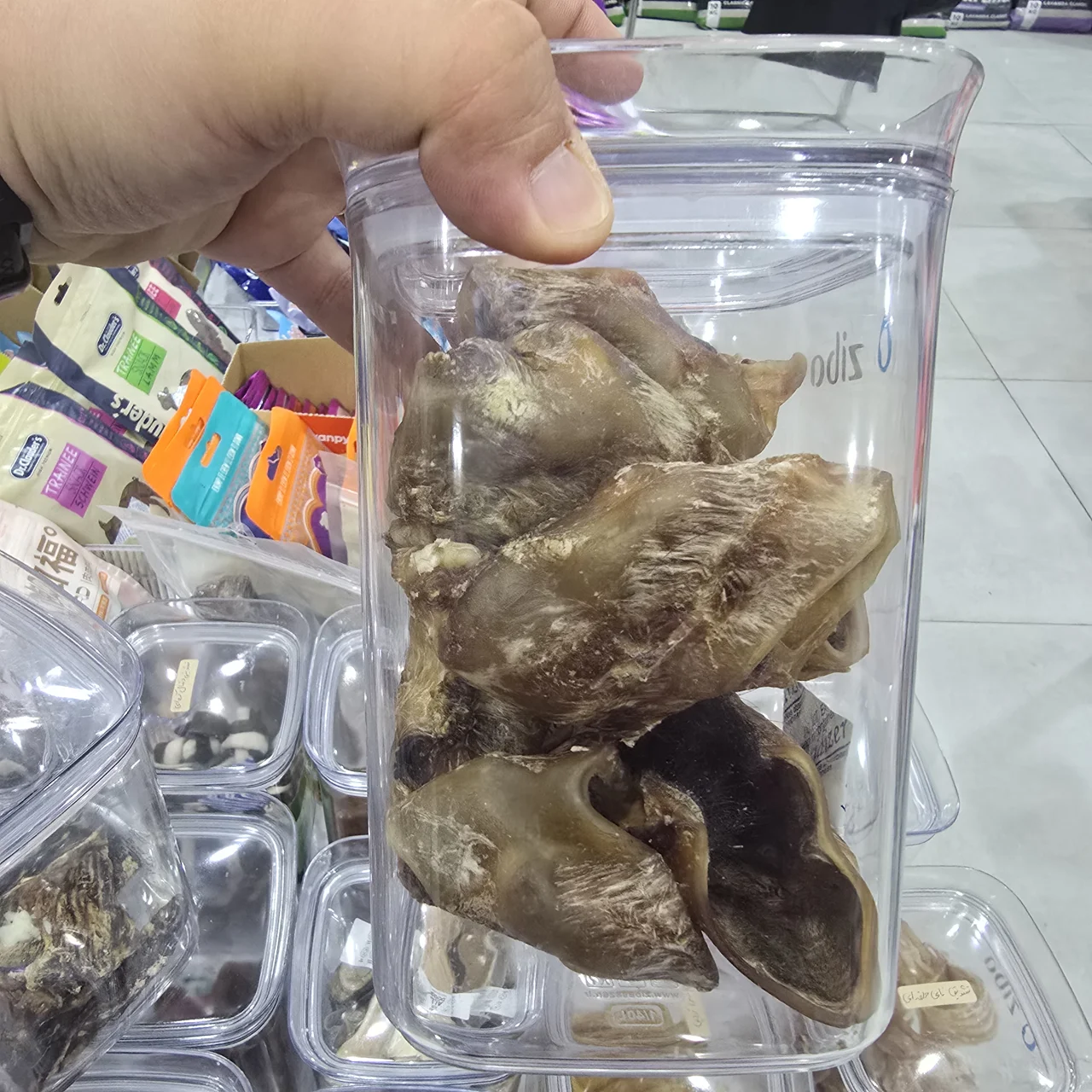 گوش بوفالو