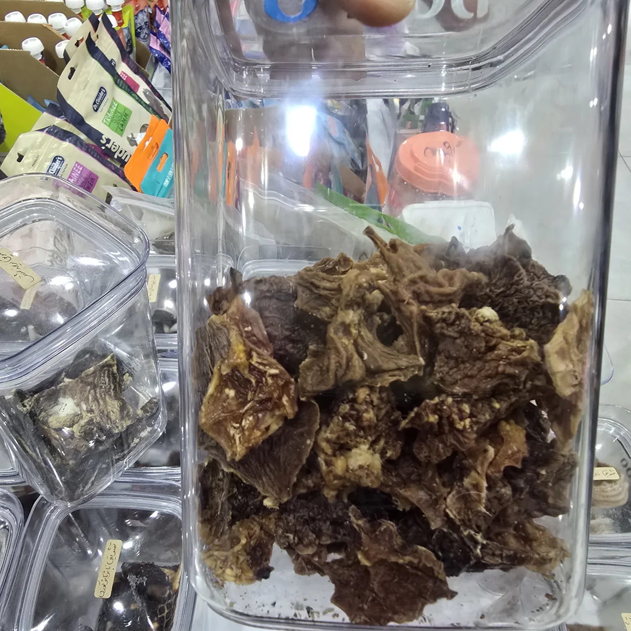 پستان گاو