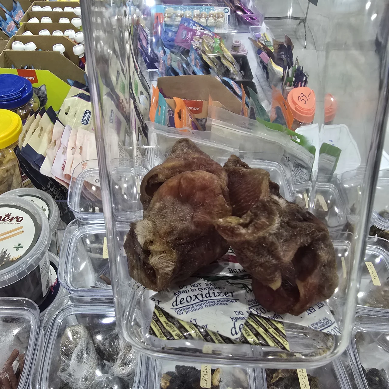 بینی گاو