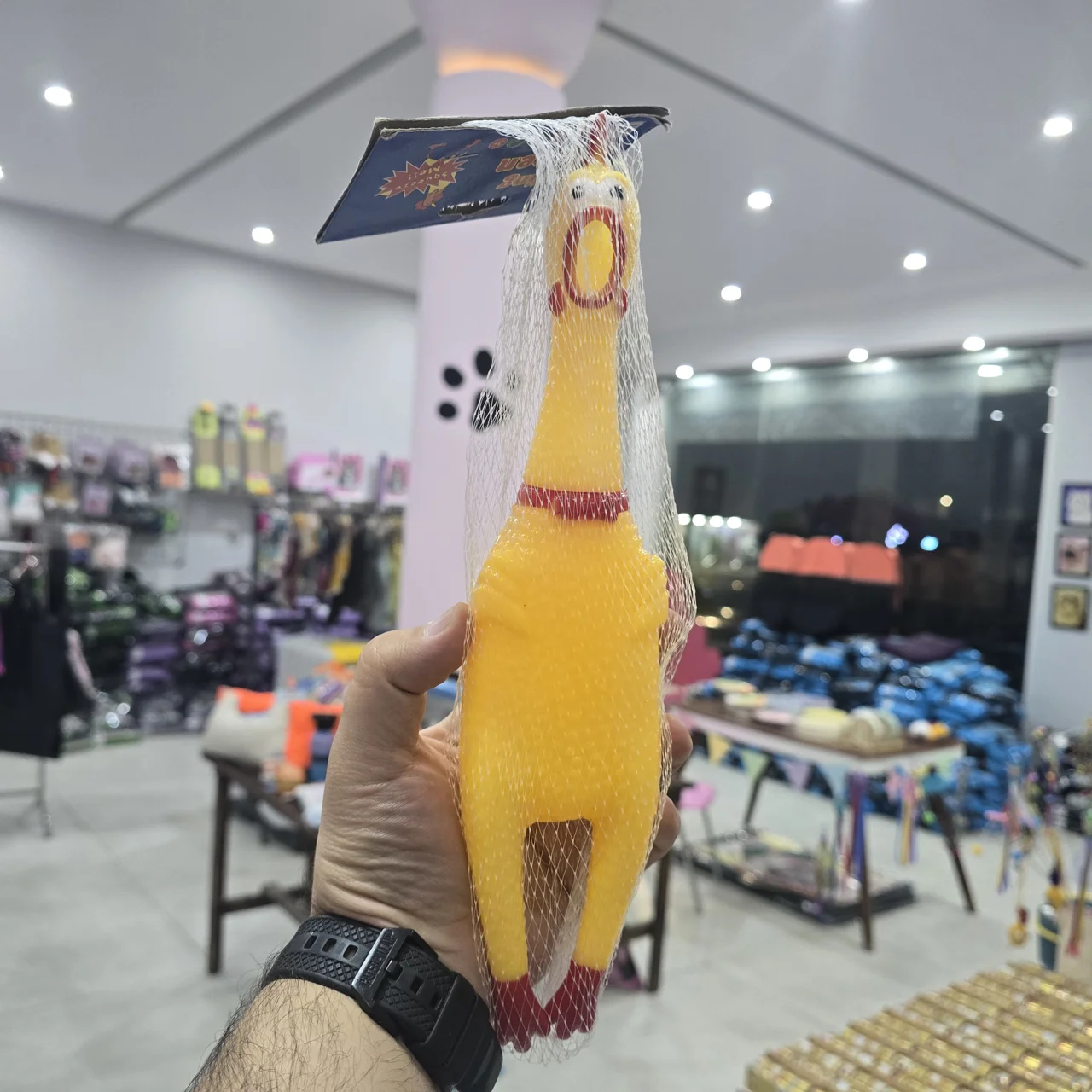 مرغ نالان بزرگ