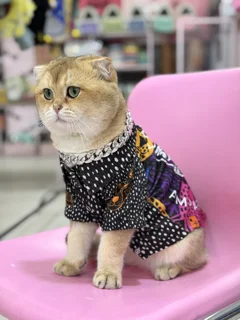 گردنبند کارتیه گربه و سگ